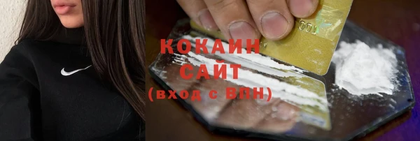 индика Сосновый Бор