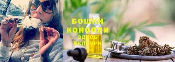 ГАЛЛЮЦИНОГЕННЫЕ ГРИБЫ Бугульма
